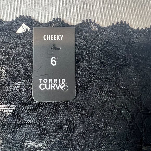 Torrid Mid-Rise Hipster Lace‎ Trim Pug Dog Panty Sz 6X - Picture 4 of 5